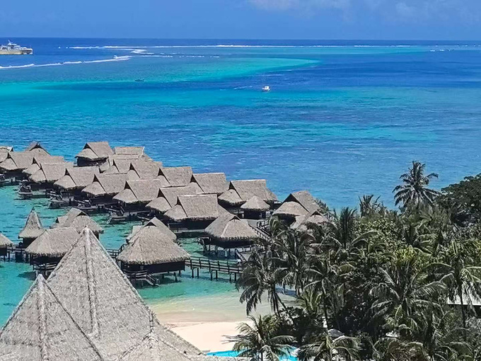 期待，一场属于七十五岁单身女士的梦幻南半球邮轮之旅图片