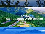 眉县旅游景点攻略图片