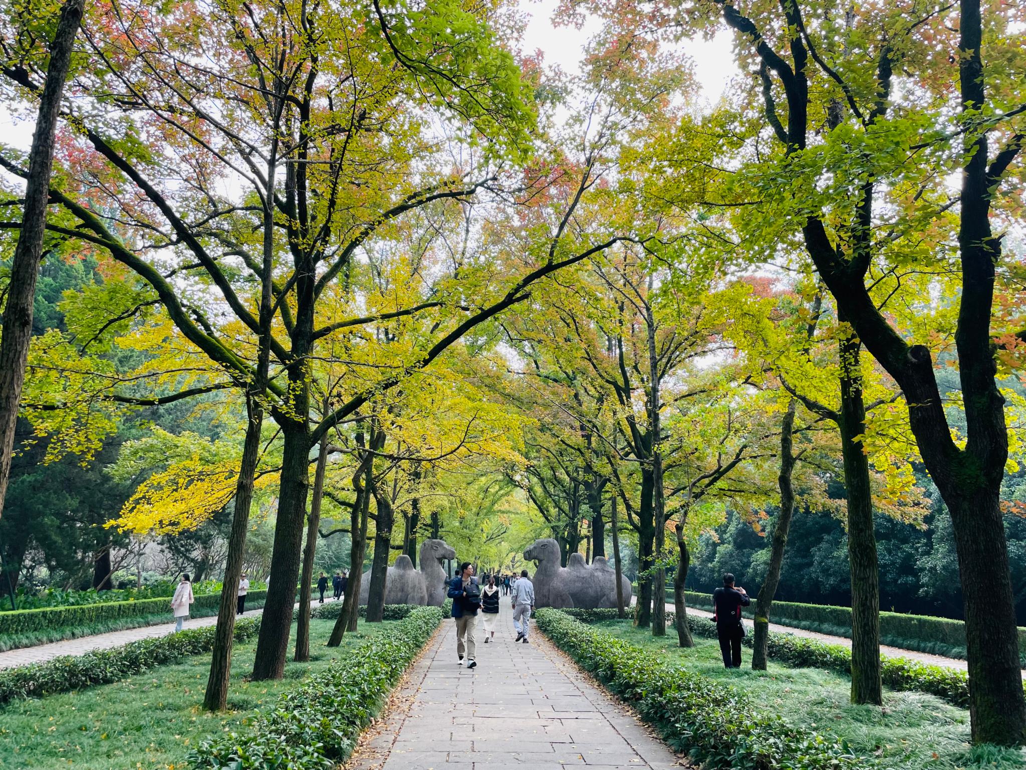 南京第4站 钟山风景区-明孝陵，叹为观止！
