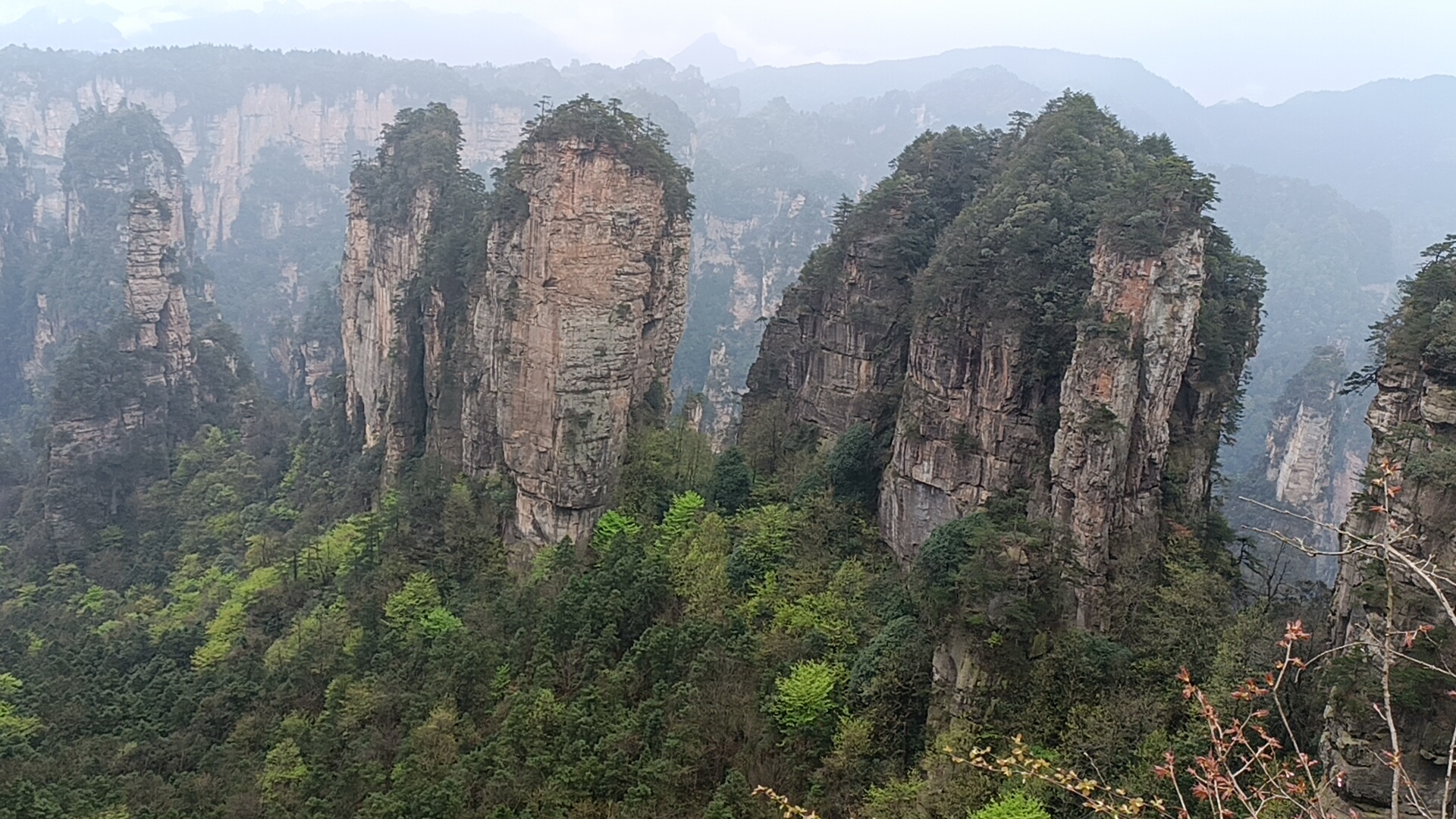 张家界3日游线路行程攻略指南，去张家界旅游3天2晚路线安排