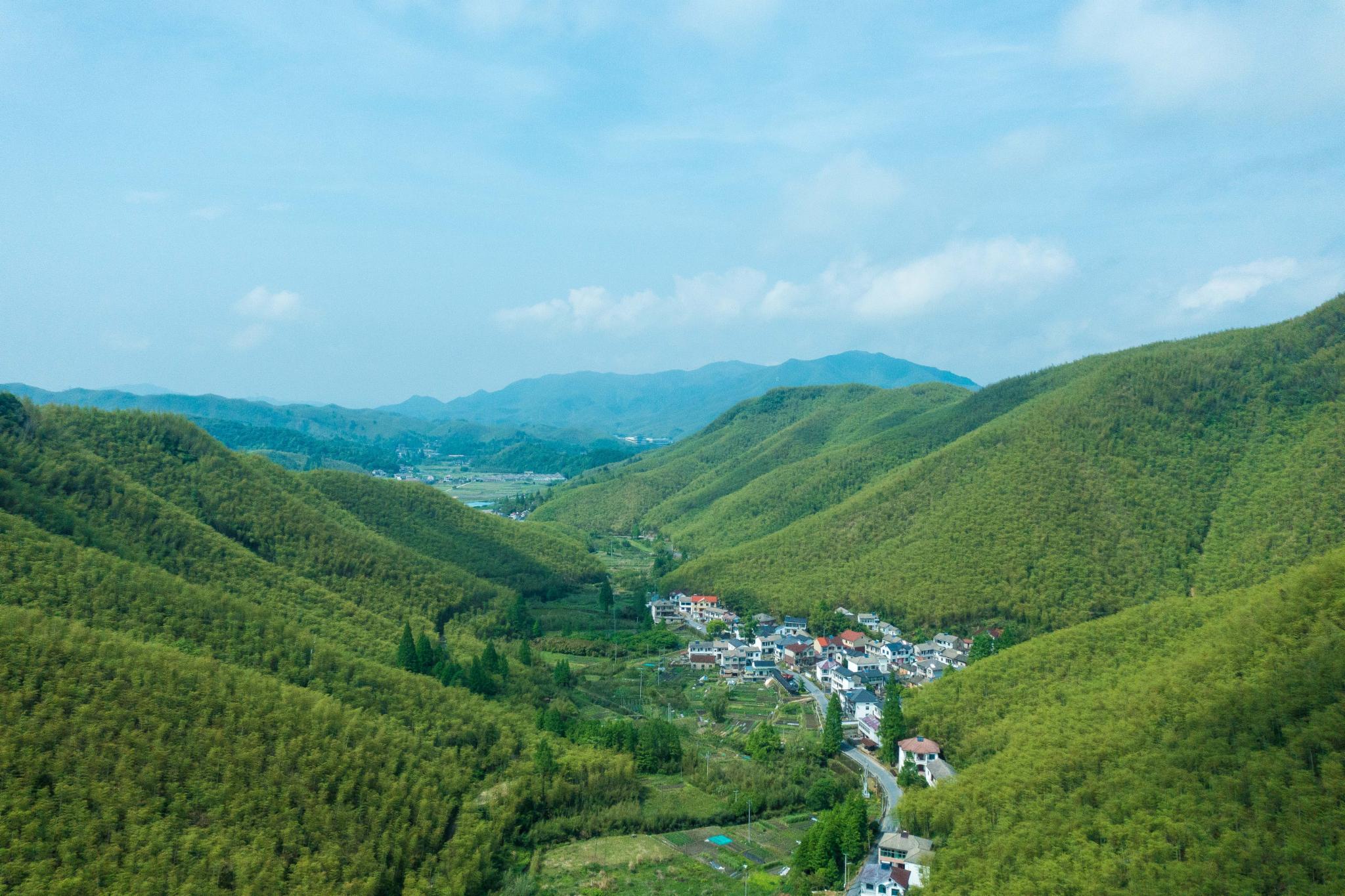 躺进安吉余村的绿野仙踪，来一次山林疗愈之旅