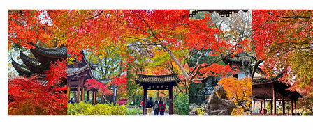 【杭州】寻秋七日，满目枫红满目诗（攻略游记）