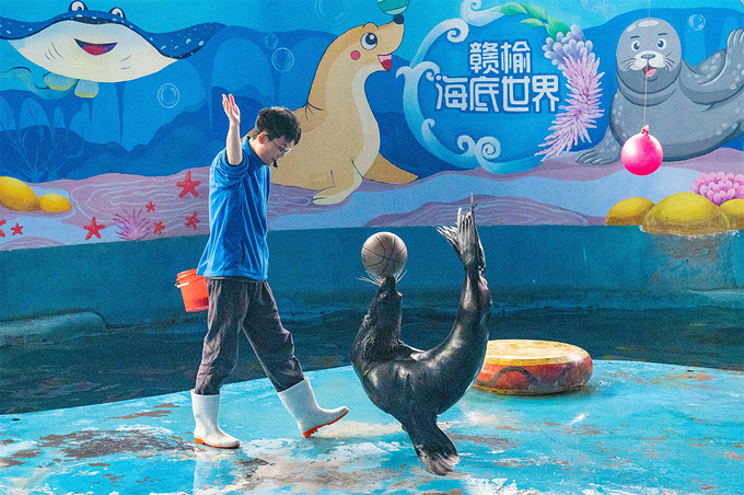 海州湾海洋乐园图片