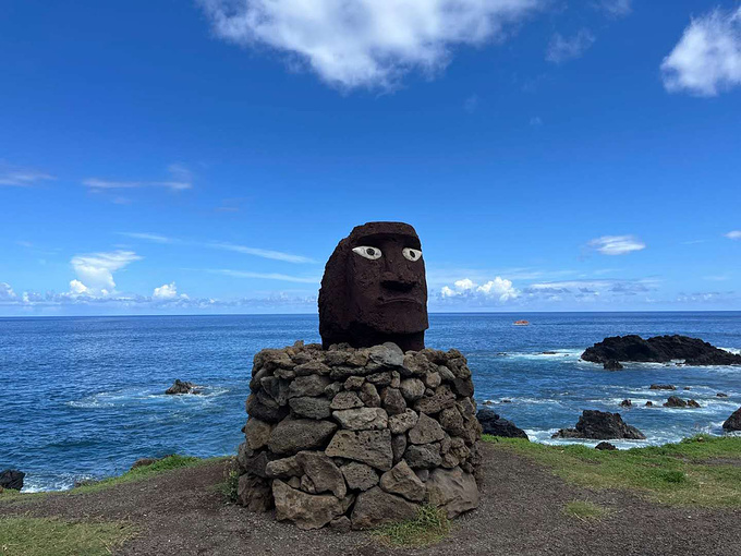 期待，一场属于七十五岁单身女士的梦幻南半球邮轮之旅图片