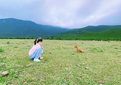玉龙旅游景点攻略图片