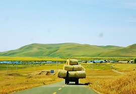 新疆大环线33天自驾游