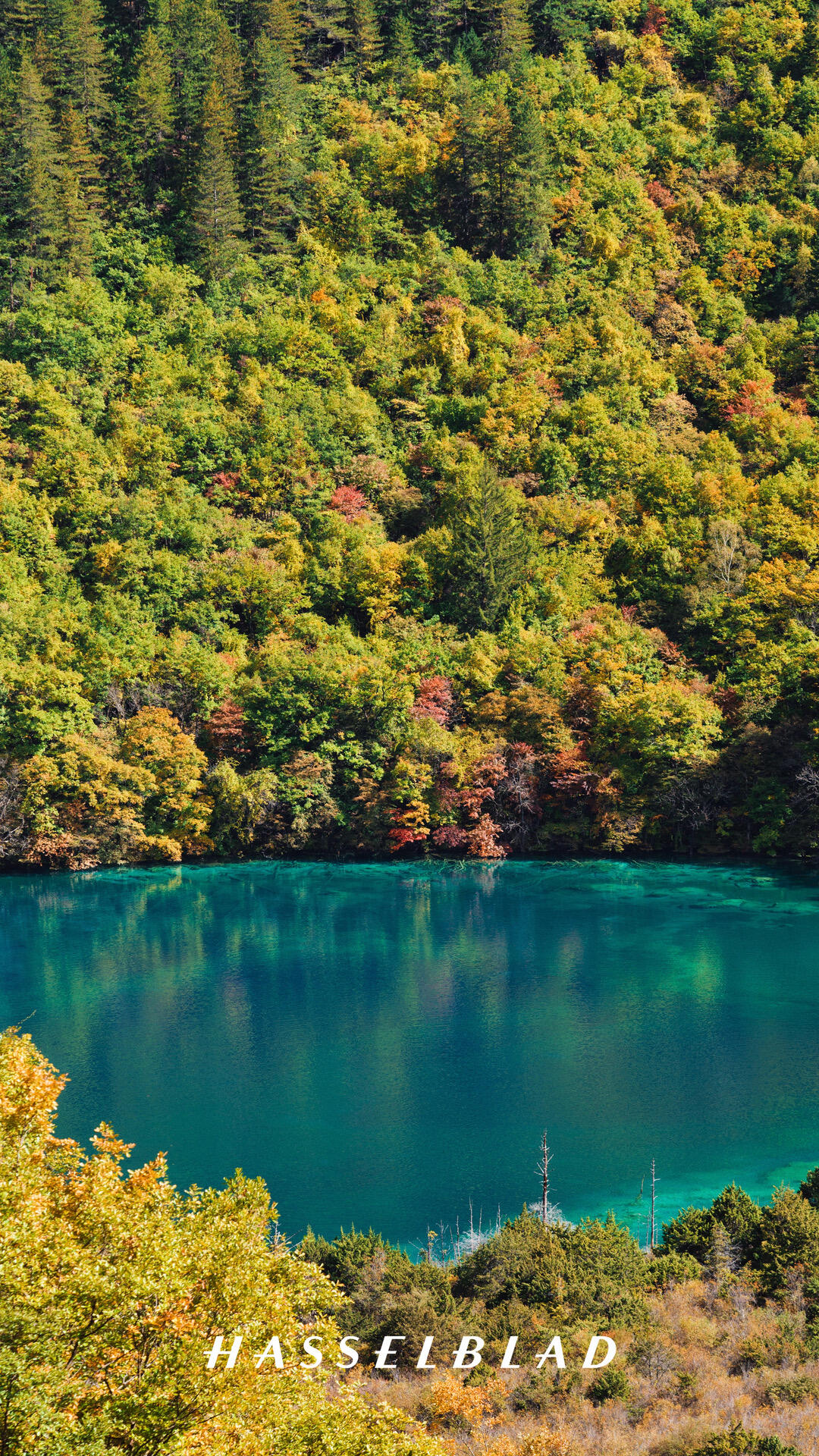 九若环线房车自驾游——探索川西大美风光的七日之旅