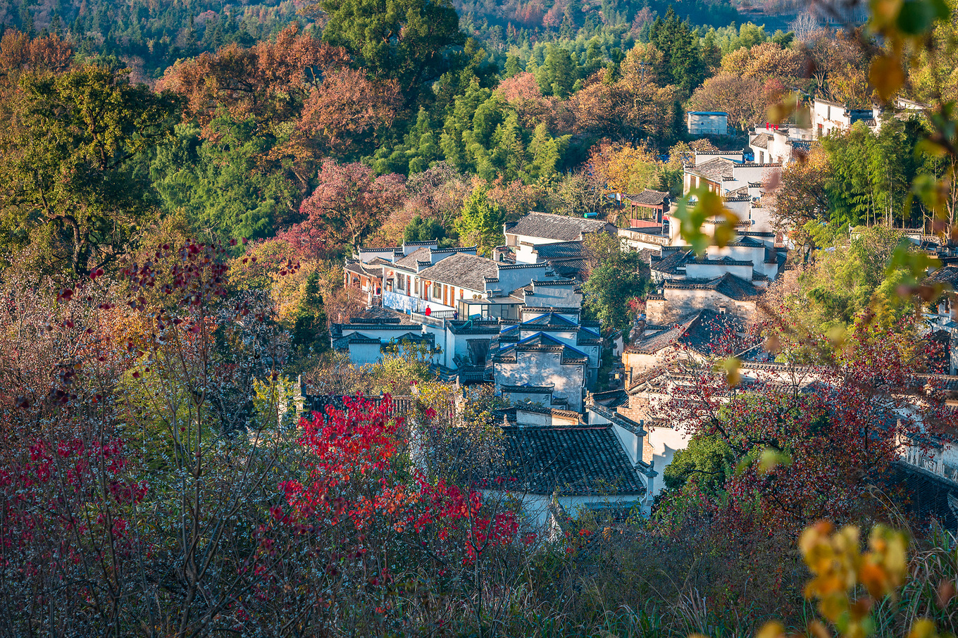 安徽塔川景区图片