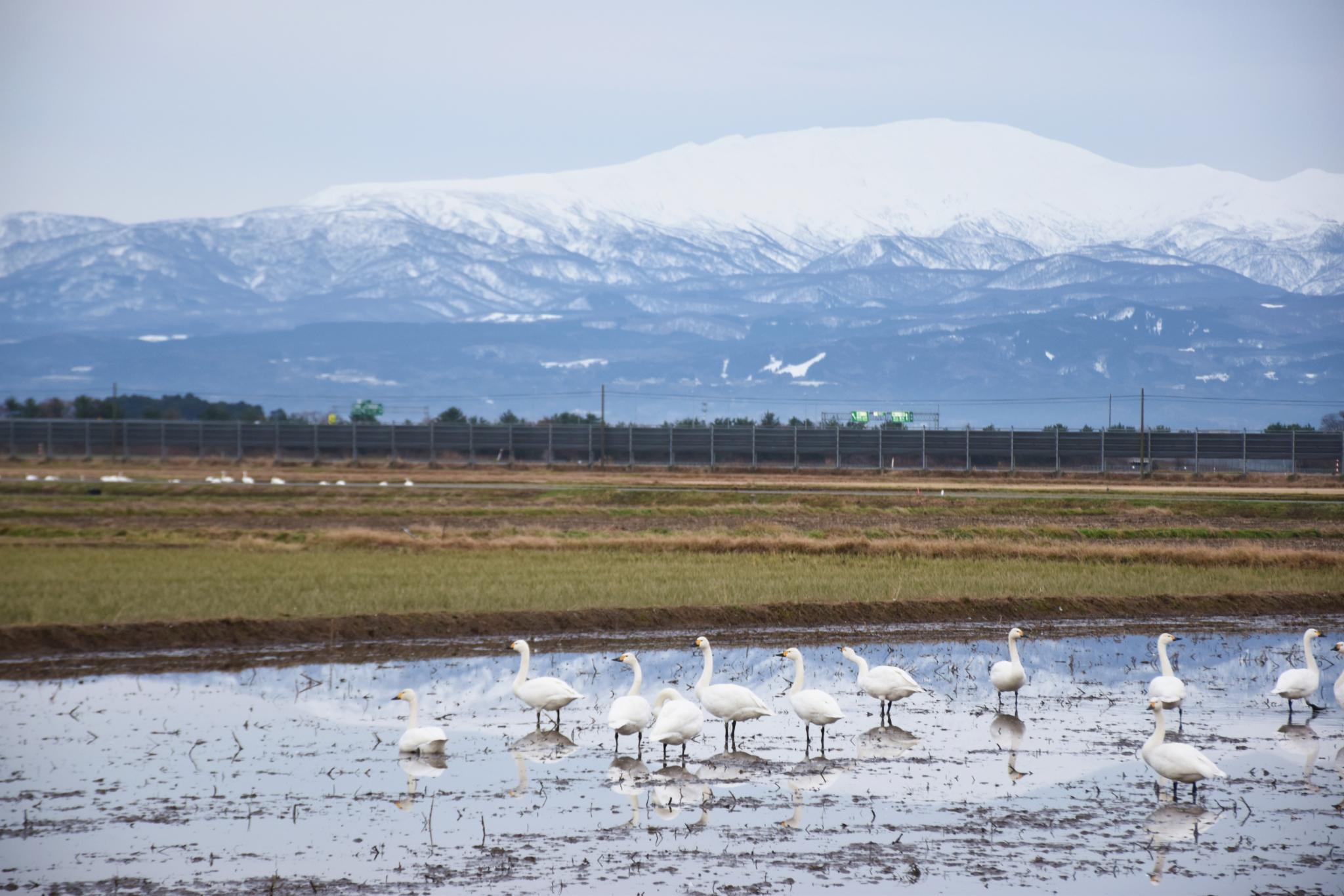 山形县,不只是银山温泉