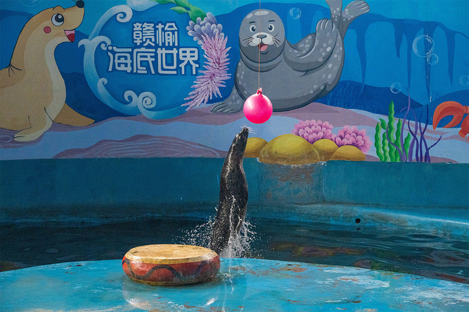 海州湾海洋乐园图片