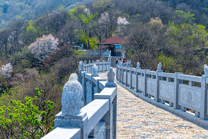 海上云台山图片