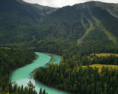 去北疆看大美河山