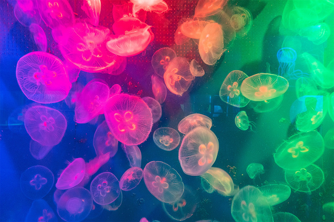 海州湾海洋乐园图片