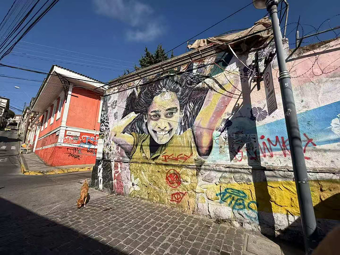期待，一场属于七十五岁单身女士的梦幻南半球邮轮之旅图片
