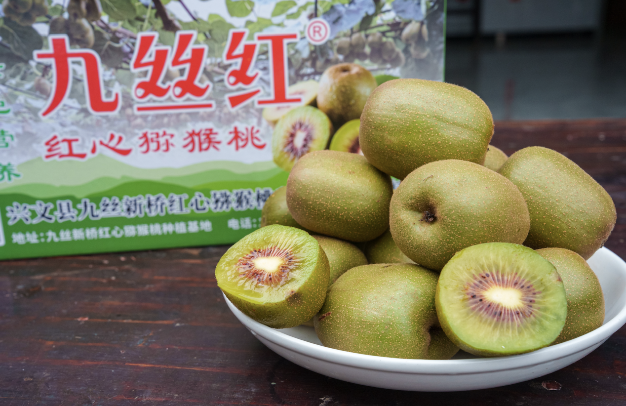 采摘、赏景、探秘，九月游九丝，就得这么玩！