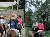 玉龙旅游景点攻略图片