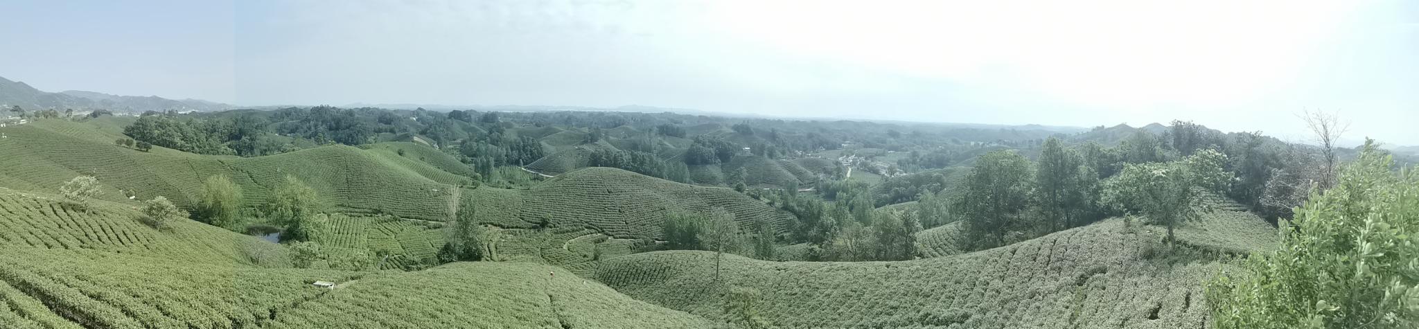 悠闲信阳行