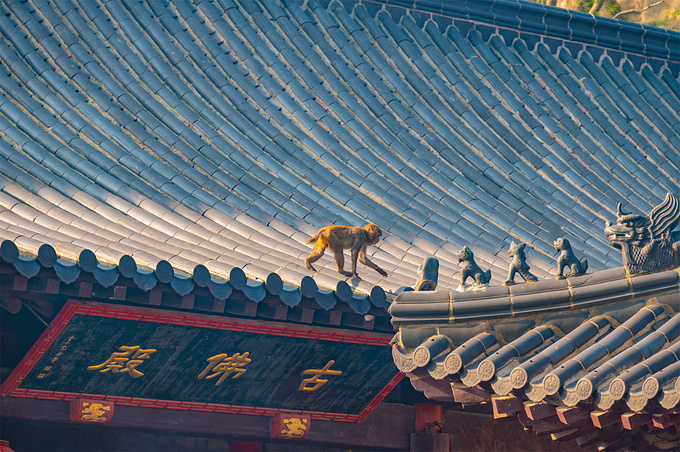 花果山图片