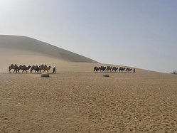 黄河远上白云间－－2025i清明甘肃兰州敦煌沙漠之狐