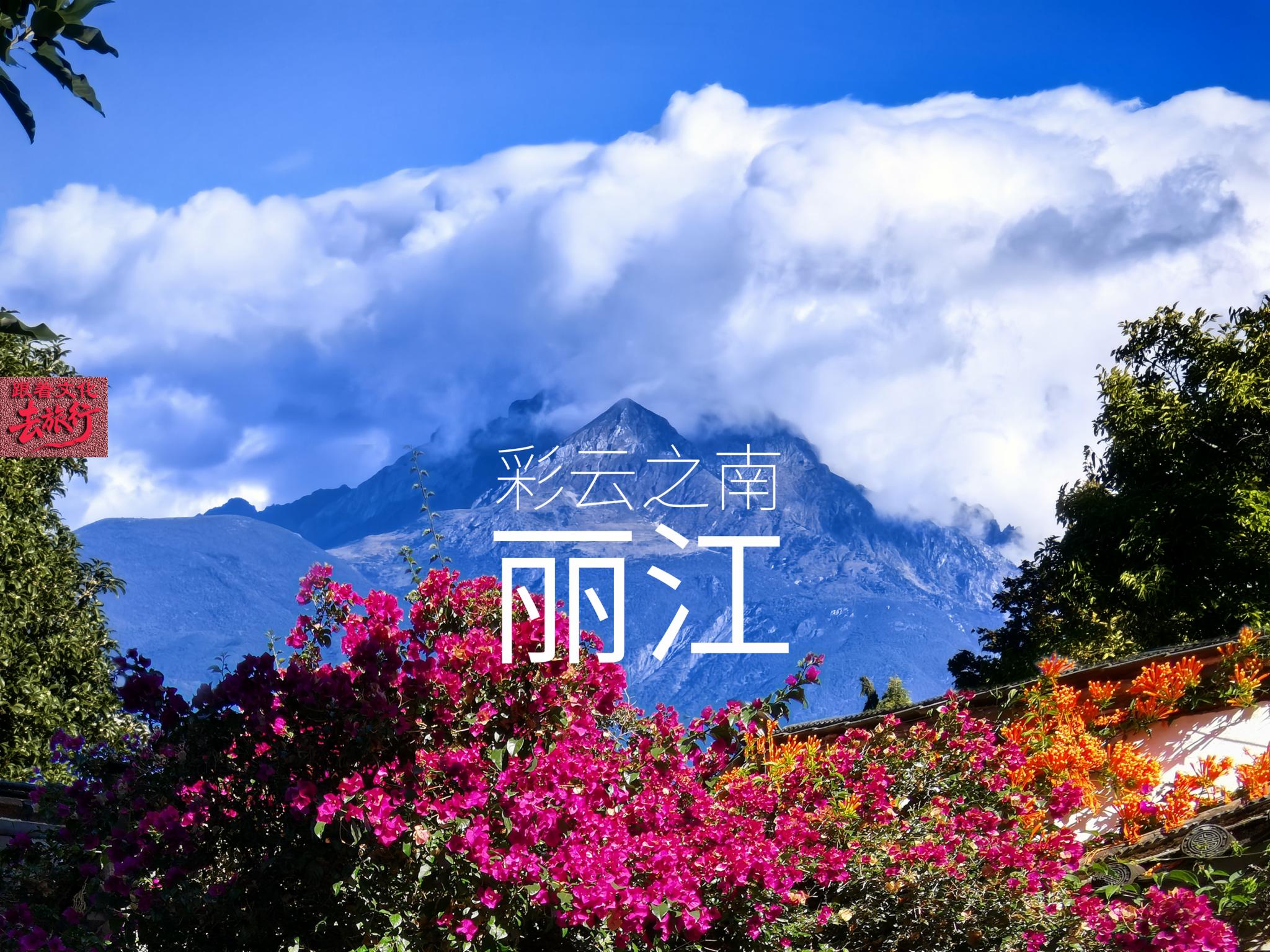 彩云之南 │ 古城雪山枕丽江