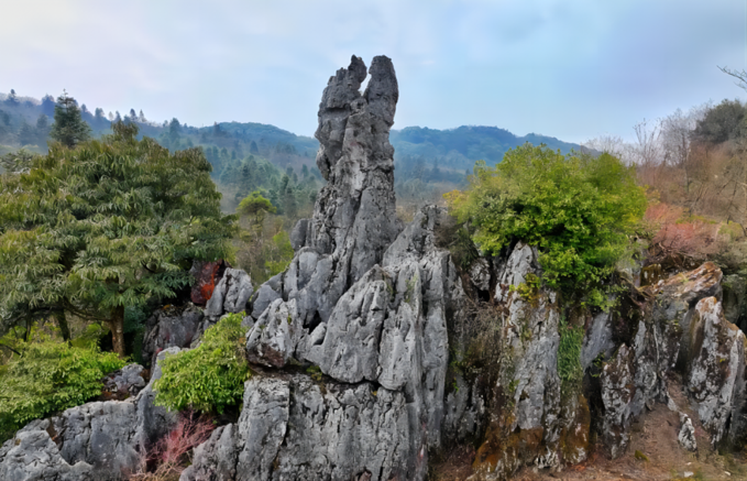 漫步華鎣:感受古韻與歷史的交融-華鎣旅遊攻略-遊記-去哪兒攻略