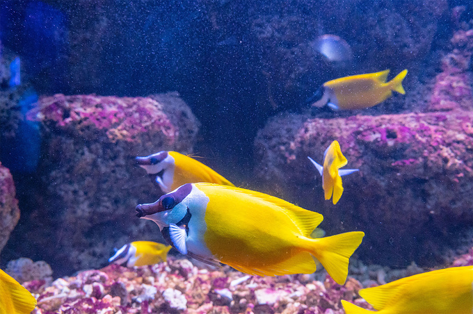 海州湾海洋乐园图片