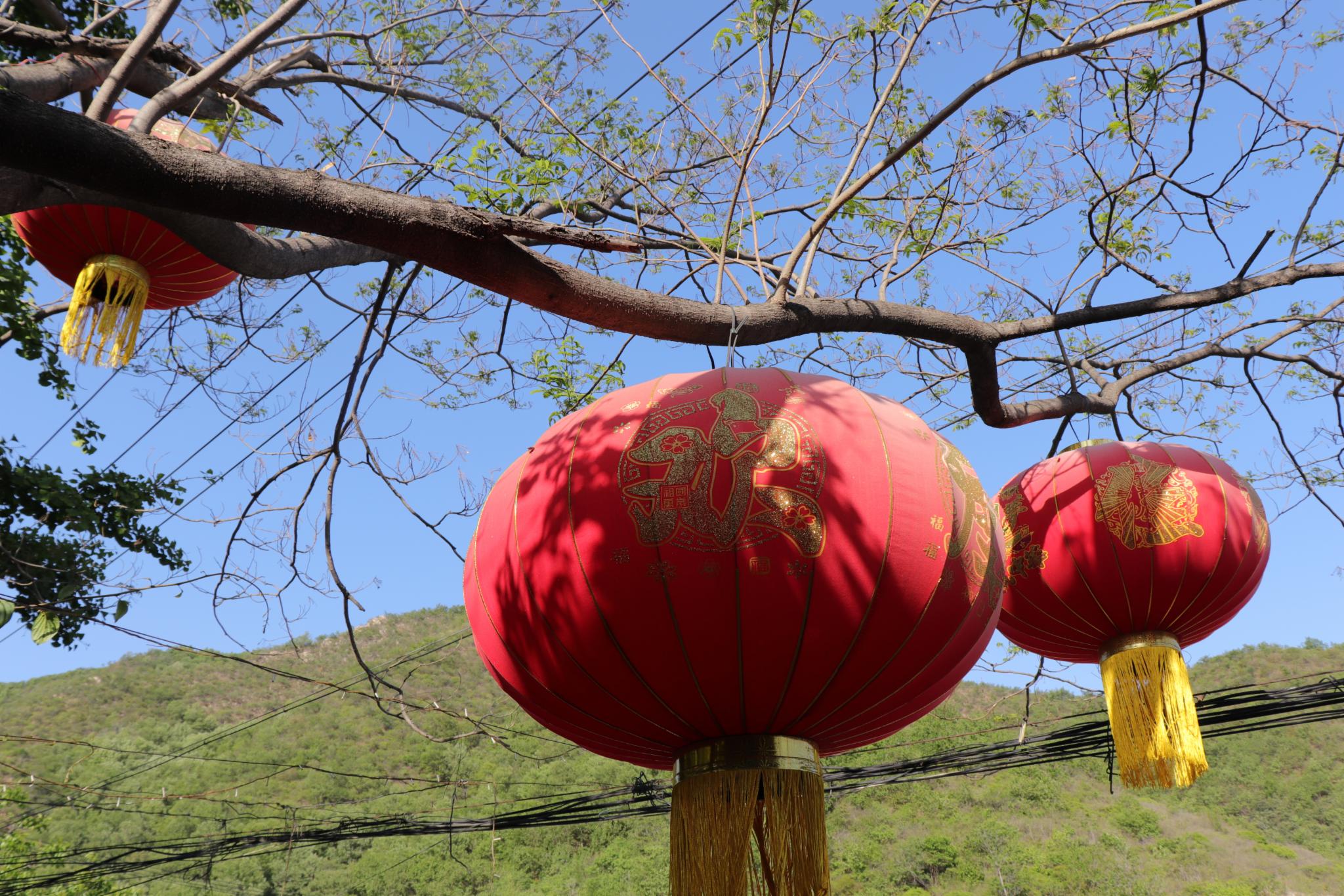 蓟县农家院东水厂村神槐景福农家院-民宿汇