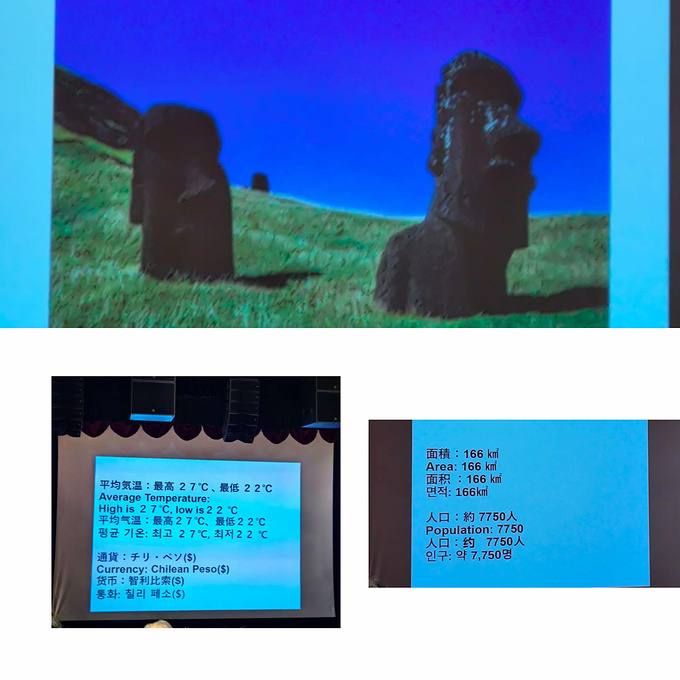 期待，一场属于七十五岁单身女士的梦幻南半球邮轮之旅图片
