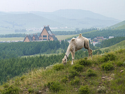 3天2晚，从草原列车到千年牛奶湖的奇幻体验