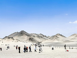 环行青甘——从戈壁黑石走到草原碧色