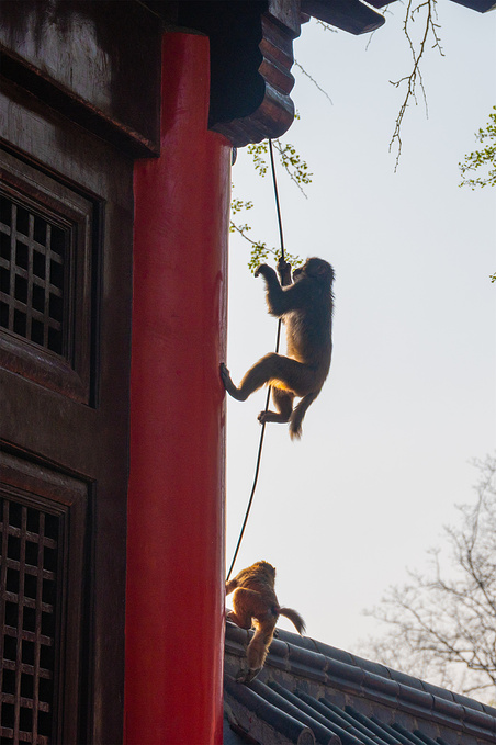 花果山图片