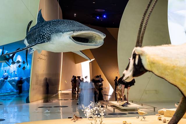 卡塔尔国家博物馆