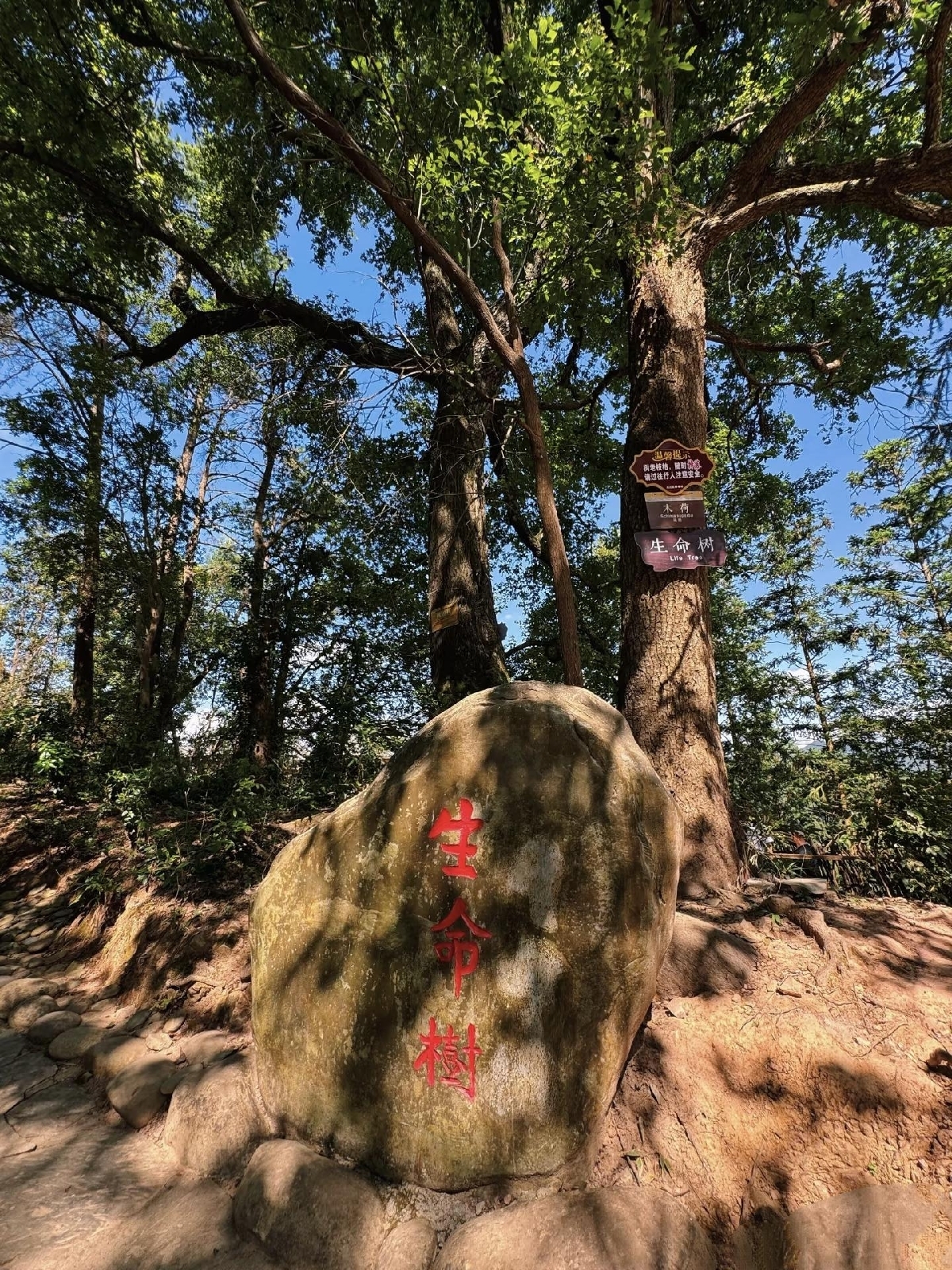 贵阳黔灵山公园实拍图
