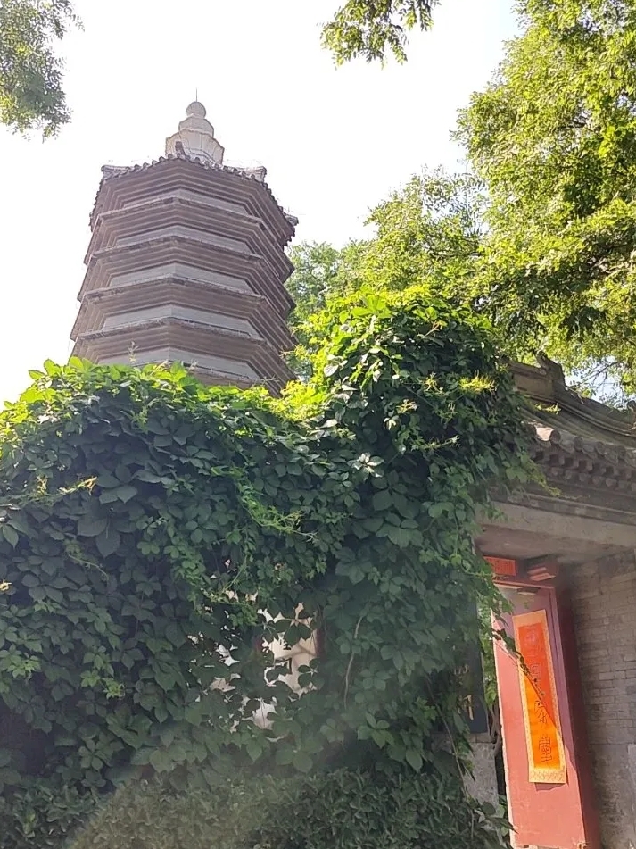 北京万松老人塔实拍图6