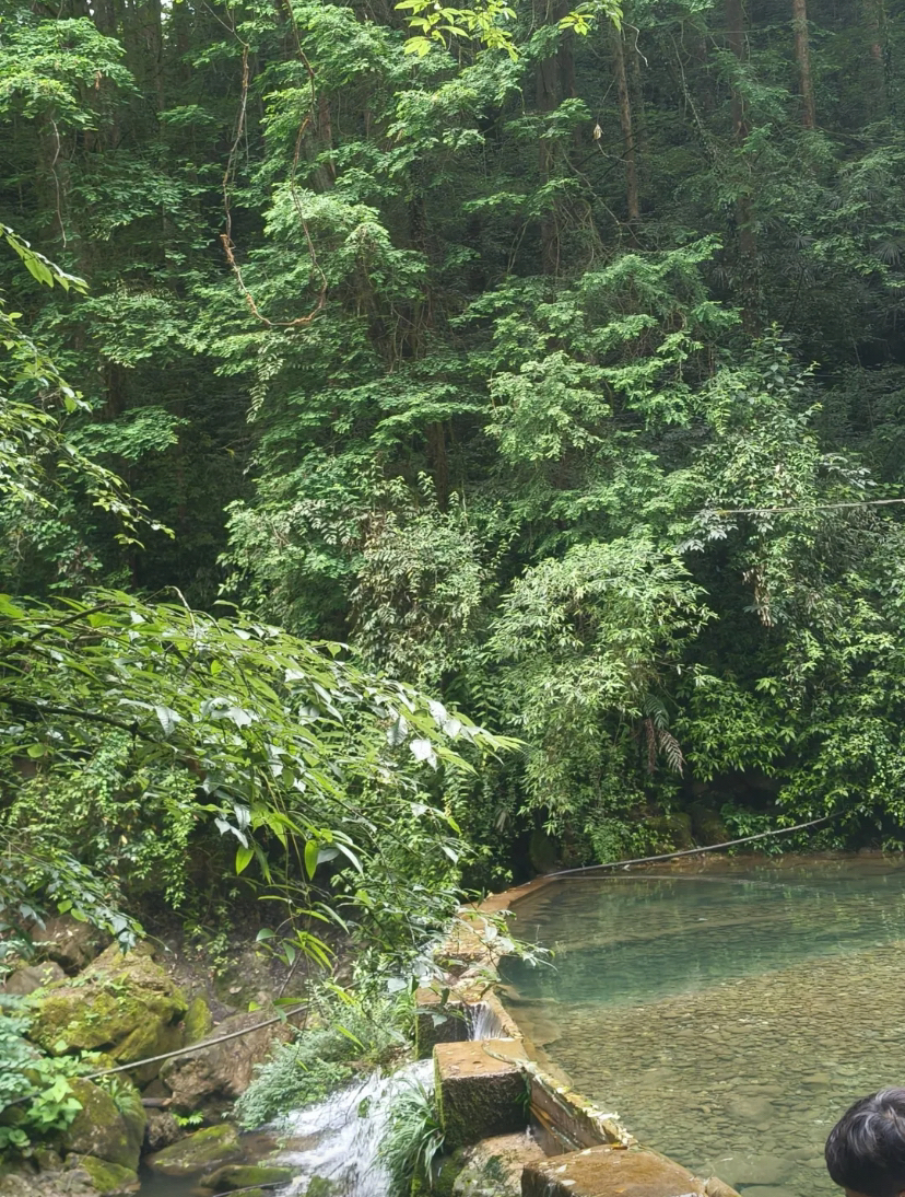 都江堰青城后山实拍图