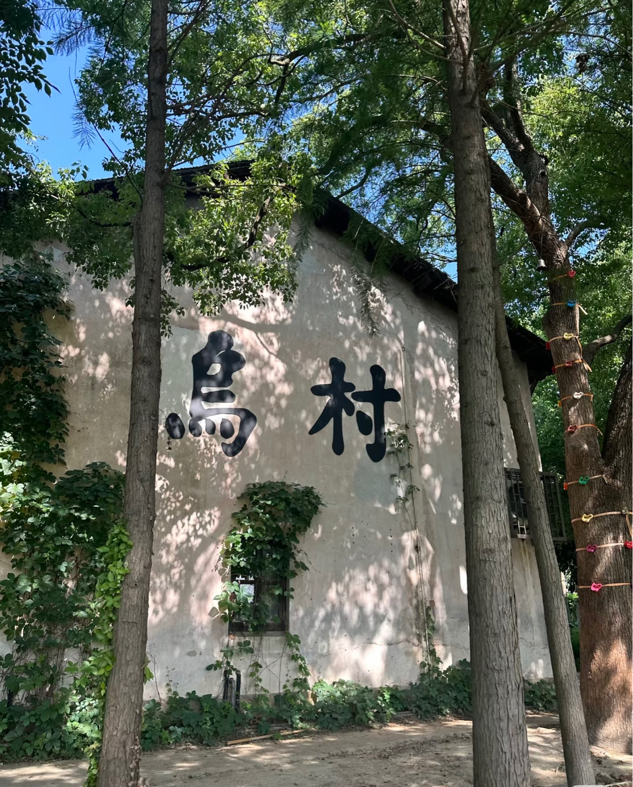 桐乡嘉兴乌村实拍图
