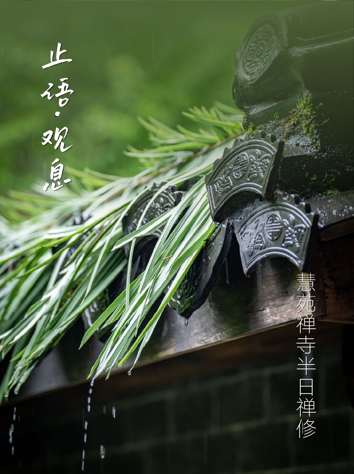武夷山实拍图