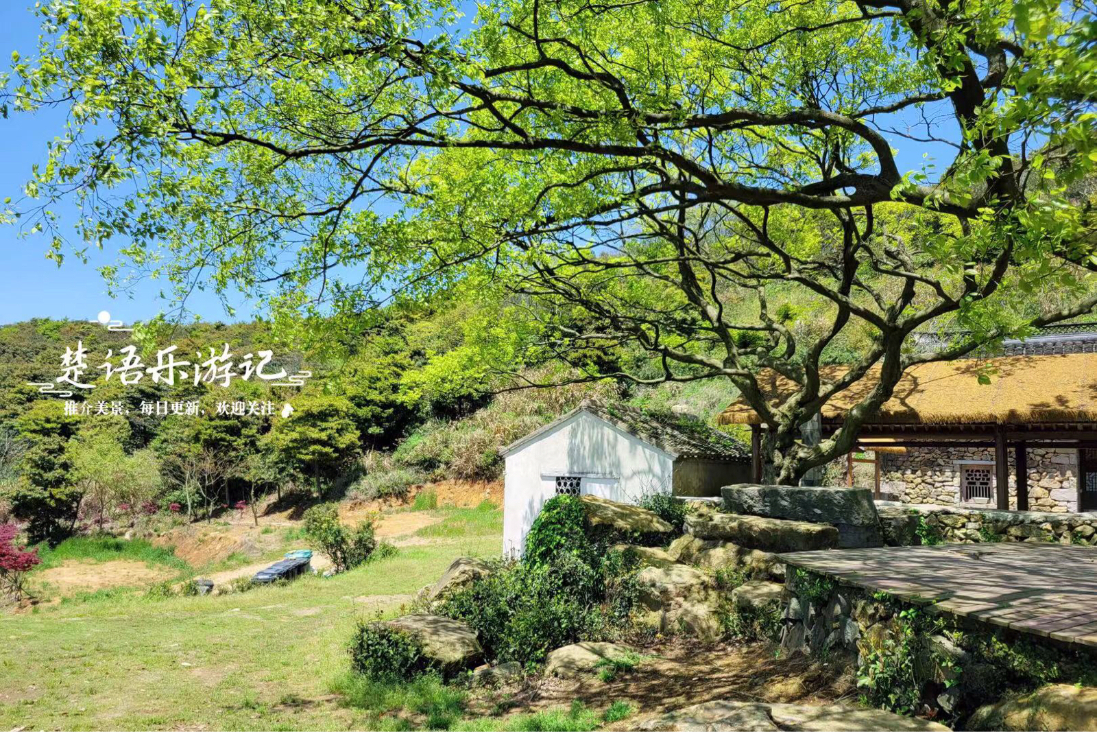 宁波市北仑区实拍图2