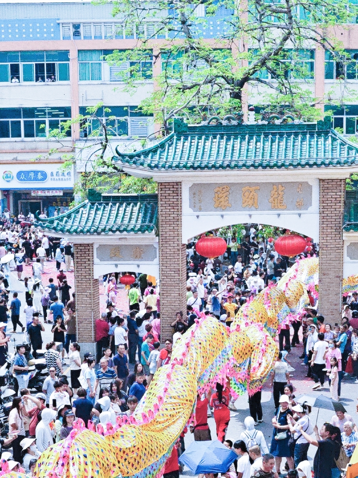 中山市沙溪镇龙头环村千亩稻田观光园区实拍图