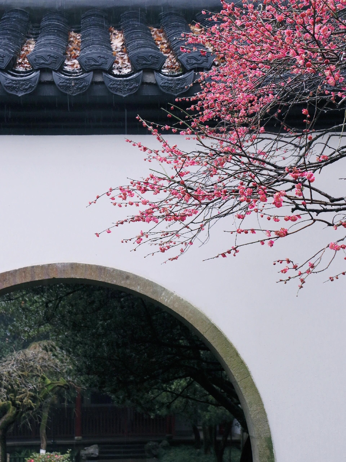 杭州实拍图
