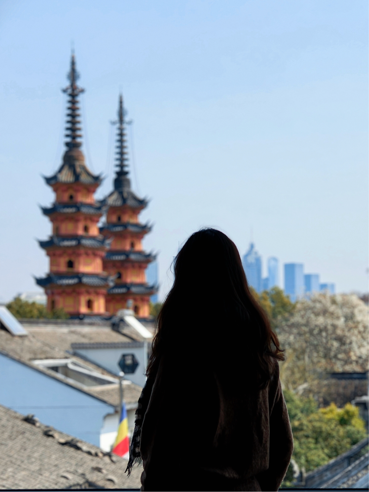 苏州双塔实拍图