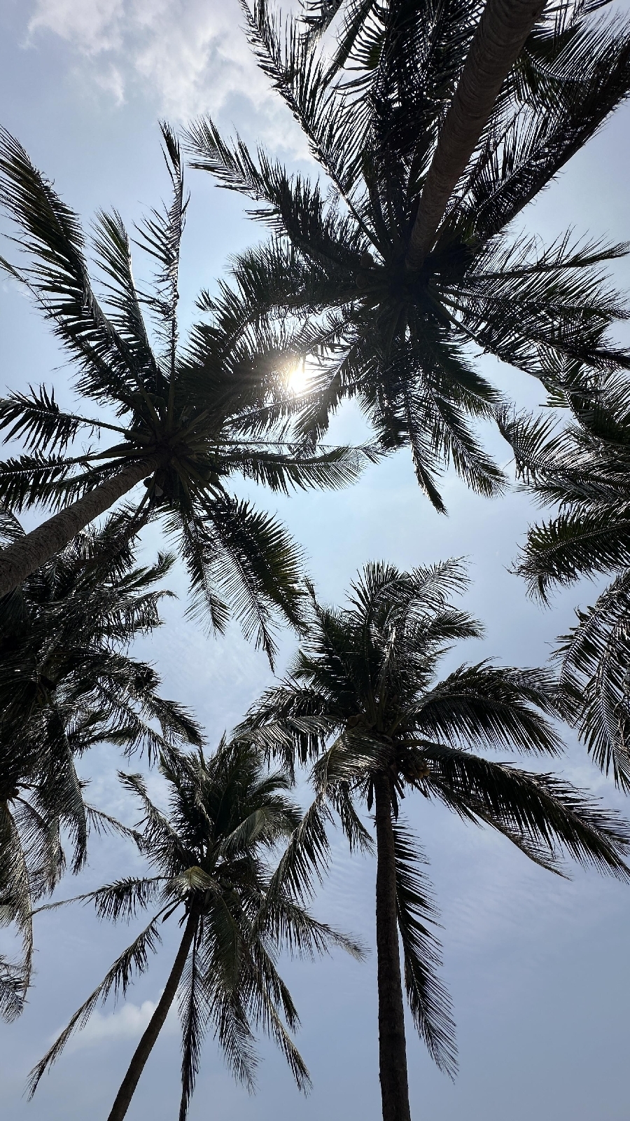 万宁桥海牧场实拍图7
