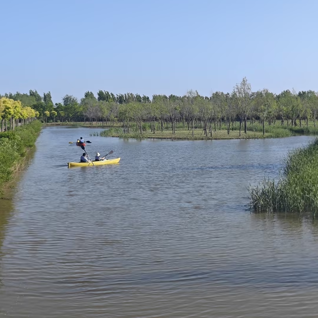 天津七星岛湿地风景区实拍图