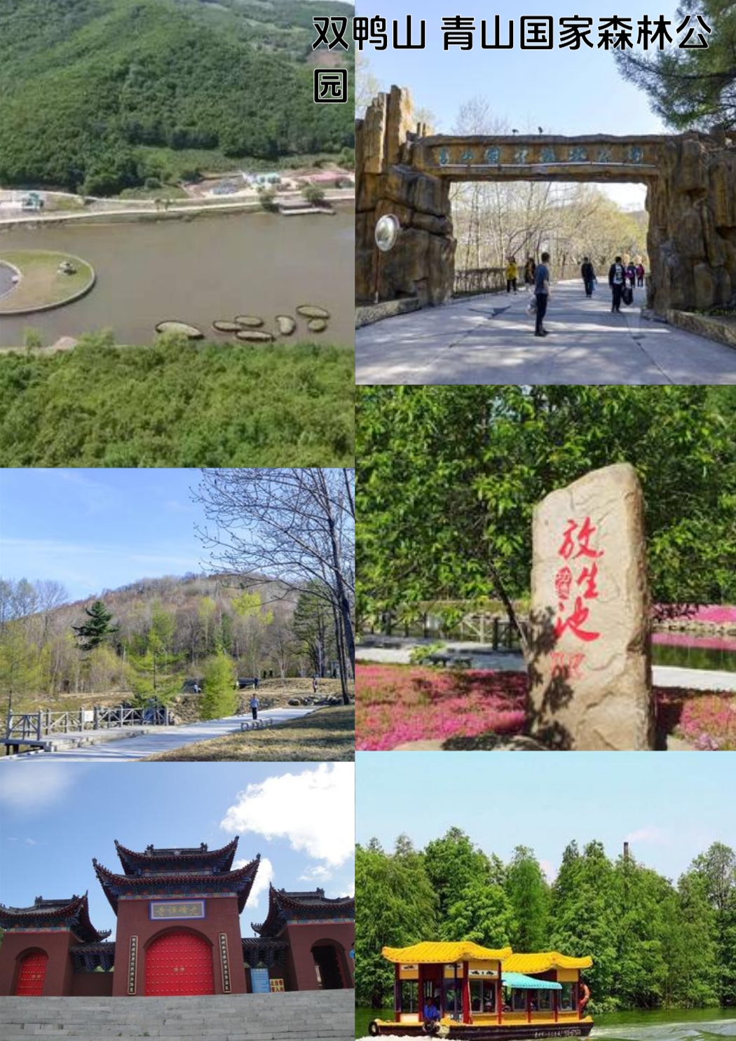 双鸭山实拍图