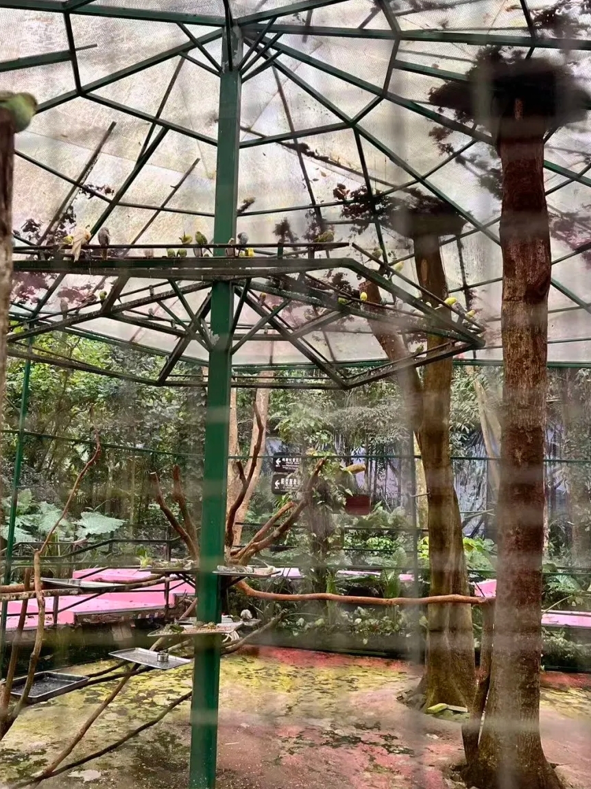 保亭呀诺达热带雨林实拍图