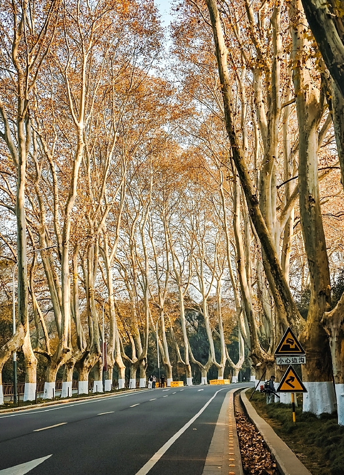 南京中央路实拍图