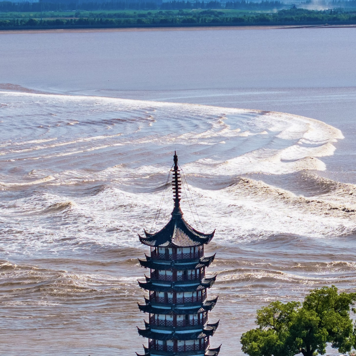 海宁嘉兴实拍图2
