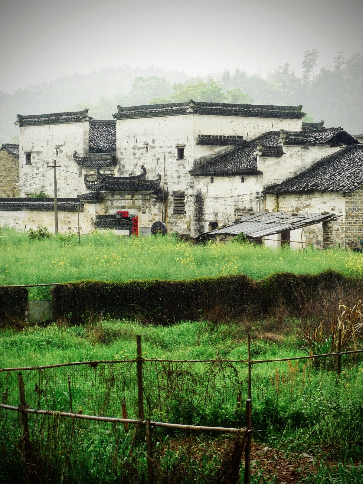 黄山祁门县实拍图