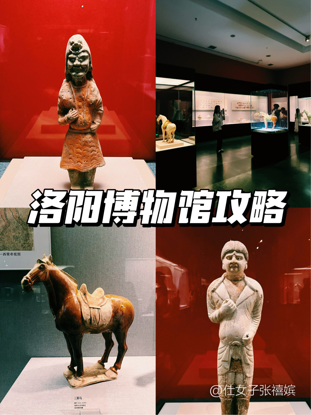 洛阳博物馆实拍图