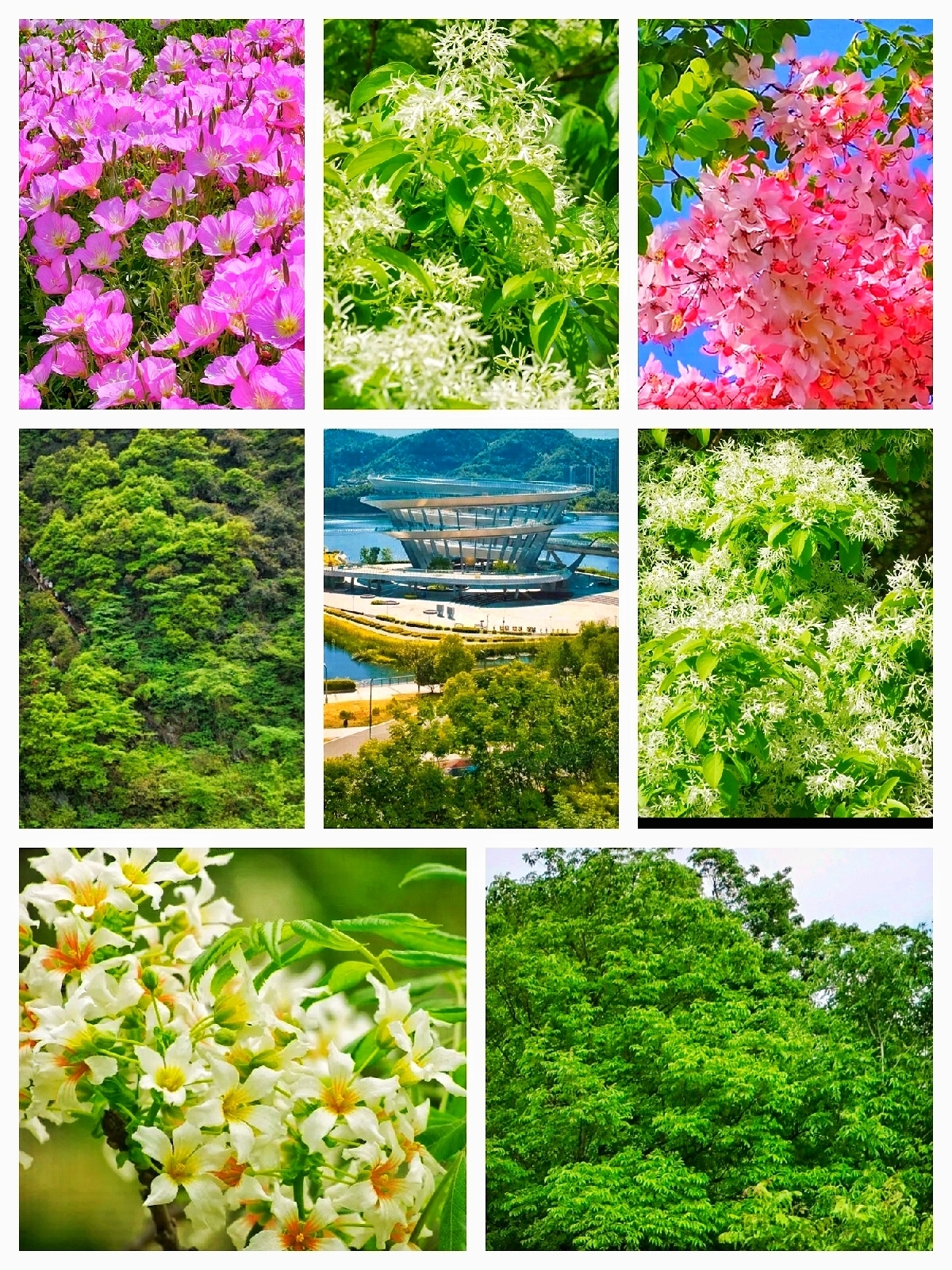 长沙梅溪湖公园实拍图
